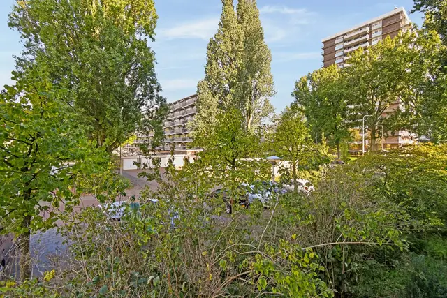 Donau, Amstelveen – foto 14 van 29