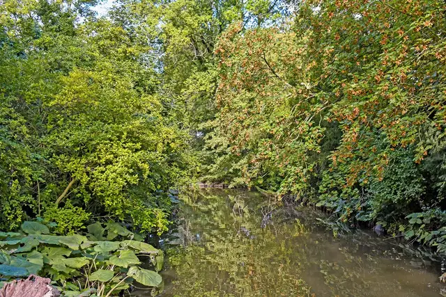 Donau, Amstelveen – foto 28 van 29