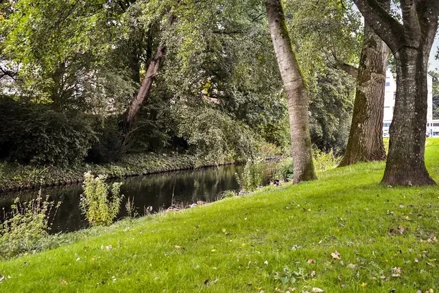 Populierenlaan, Amstelveen – foto 27 van 30